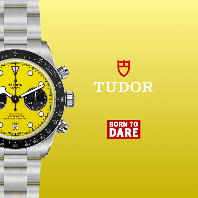 Tudor en Torres Joyas